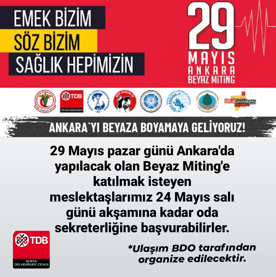 29 MAYIS ANKARA BEYAZ MİTİNG